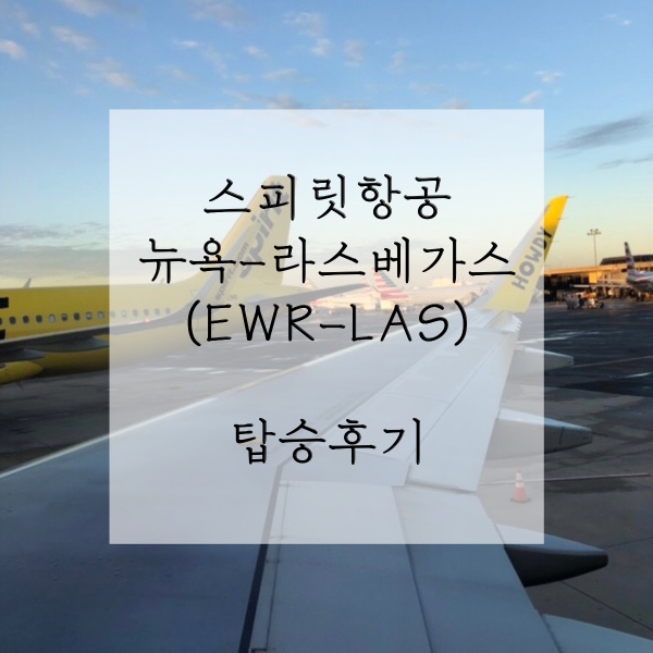 미국 서부여행 :: 뉴욕 뉴왁공항(EWR) &gt; 라스베가스 공항(LAS) - 국내선 스피릿항공(Spirit) 후기