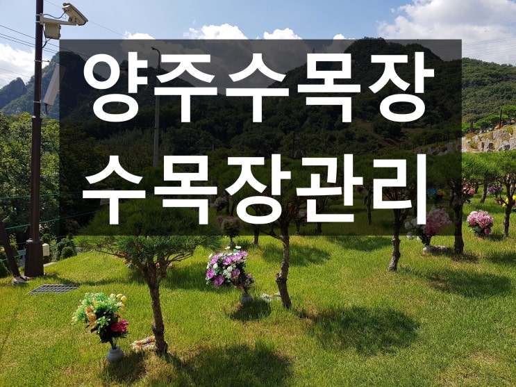  양주수목장 관리가 무척 잘되는것 같아요~