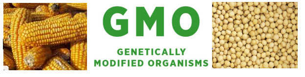  우니라나 승인된 GMO 종류