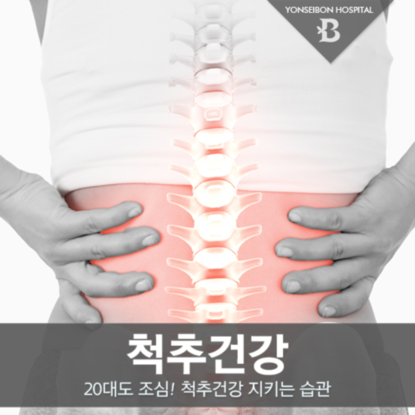  척추 건강을 지키는 생활 습관