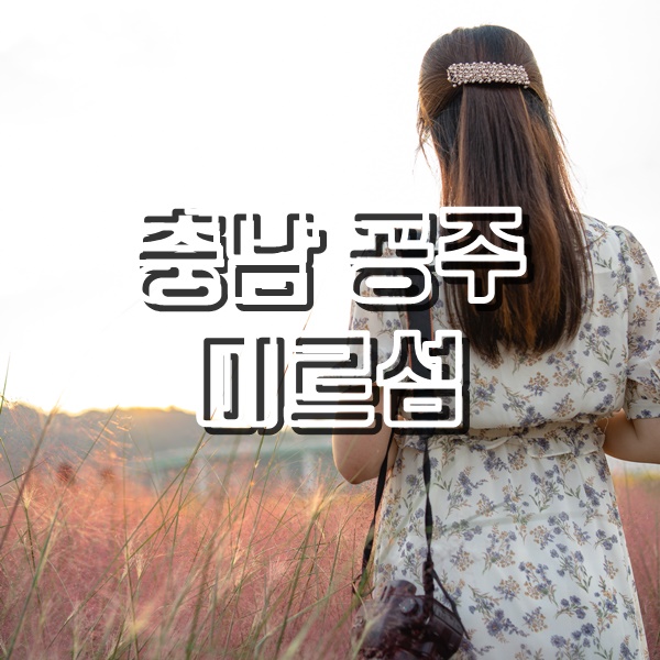  [충남 공주 여행] 메밀100% 막국수 맛집과 백제문화제가 열리는 미르섬