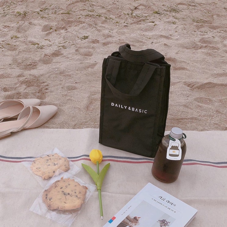  도시락가방, 피크닉가방 추천 (룸앤홈 데일리보온보냉백)