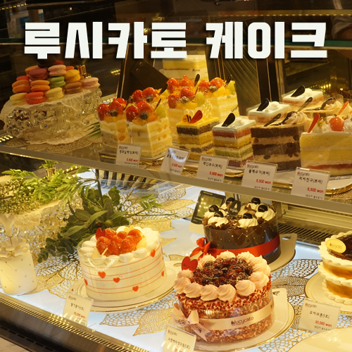  루시카토 케이크 # 광주 신세계백화점 리뉴얼 후 첫 방문