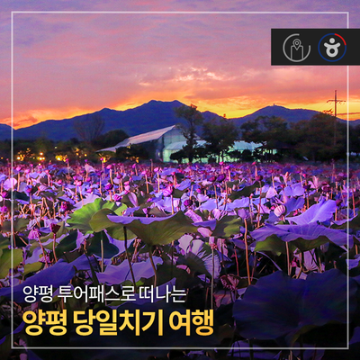  양평 투어패스로 떠나는 양평 당일치기