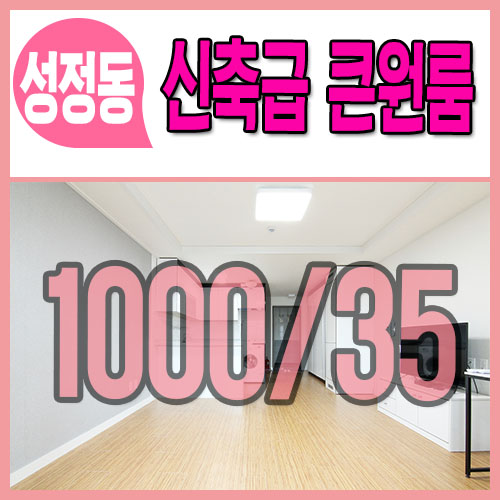  천안원룸반전세 월세 성정동 신축급
