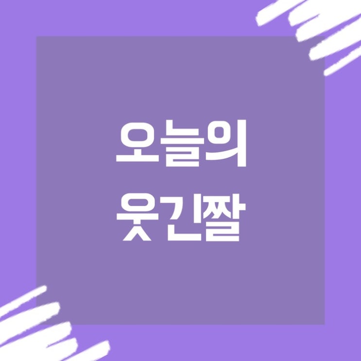  오늘의 웃긴짤 #5