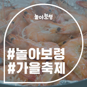  [놀아보령] 보령 가볼 만한 곳, 무창포 신비의 바닷길 대하·전어 축제