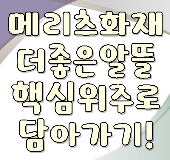  메리츠화재 더좋은알뜰한건강보험 어떤 설계가 가장 효율적일까요?