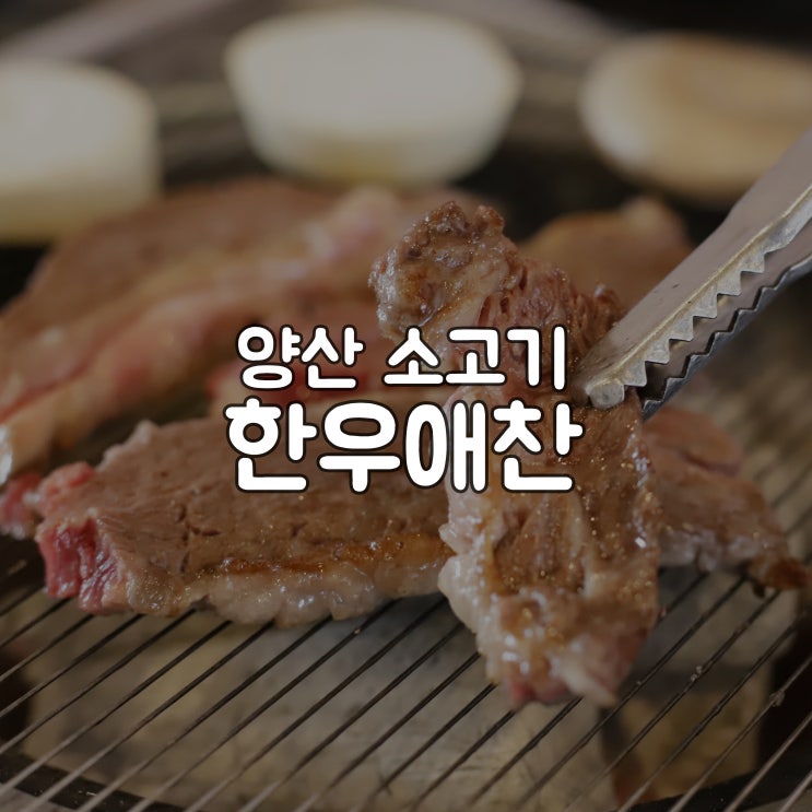  양산 소고기 점심특선 괜찮네 한우애찬