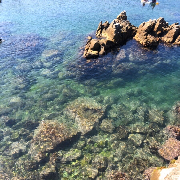  [강원도 삼척+동해] 1박 2일 삼척, 동해여행 2일차 / 홍게라면, 장호항, 무릉계곡, 삼화사, 무릉계곡맛집 ‘보리밭식당’, 장호항카페 ‘웨이브’