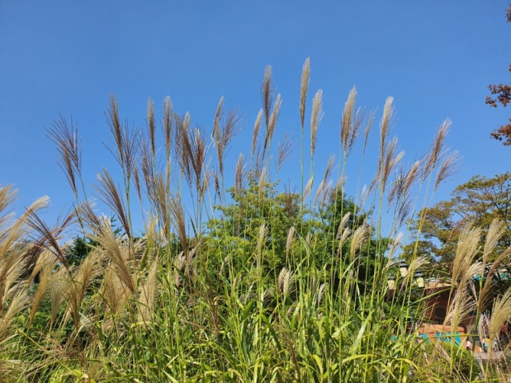 20191001화요일
