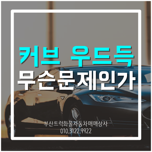  커브 우드둑, 핸들 우두둑 소리 그 원인은?