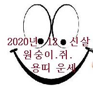  2020년 원숭이띠 쥐띠 용띠의 운세 경자년 사주풀이 12신살로 본 ?