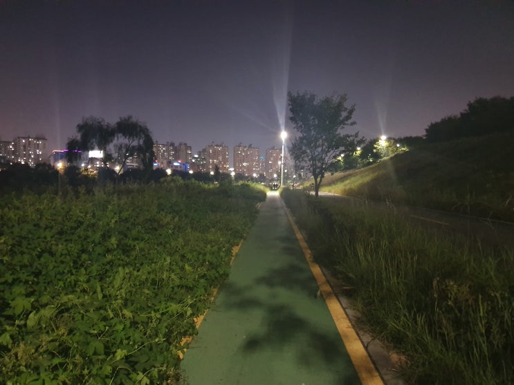  [운동습관만들기] 짬나서 하는게 아닌, 시간을 확보해서 하는 것.(66일차)