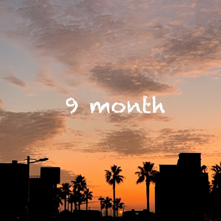  9월의 일상