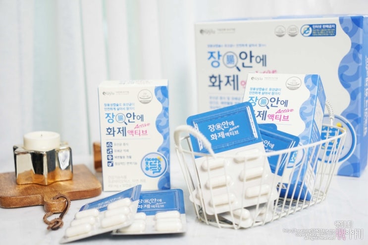  성인유산균 장안에화제 액티브 선택했죠