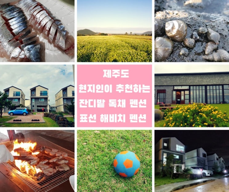  제주,제주도 펜션 좋은 곳 오션뷰 숙소 바다 3분 렌터카 무료