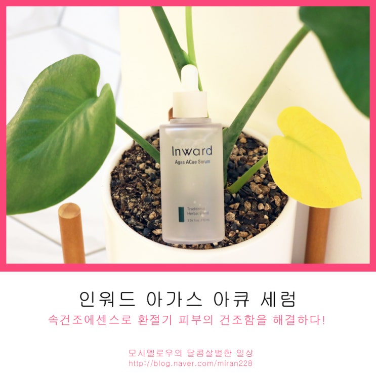  속건조에센스 사용으로 환절기 피부건조함을 해결!