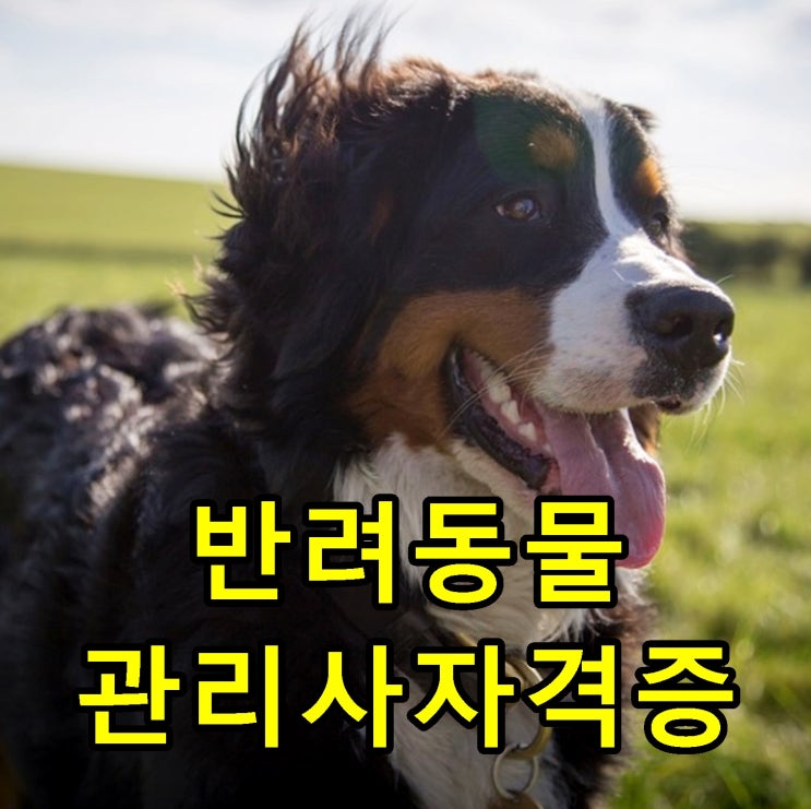  반려동물관리사 연봉 기대해볼만해 프리랜서도 가능