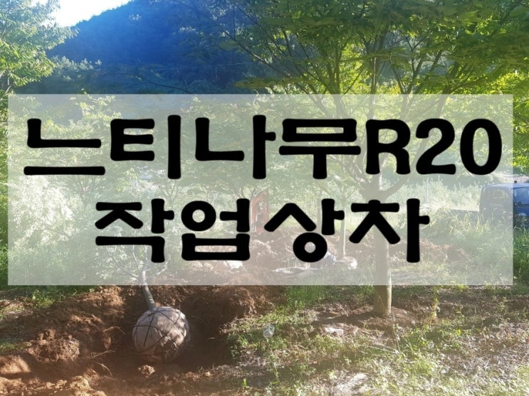  느티나무 R20 작업상차, 임대차 농지 계약실수로 인한 수익손실