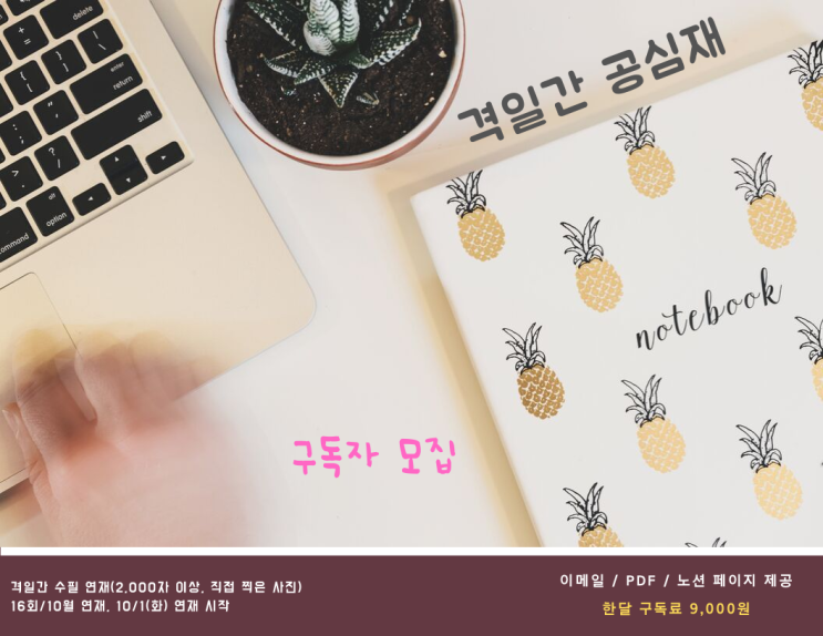  격일간 공심재 수정 공지