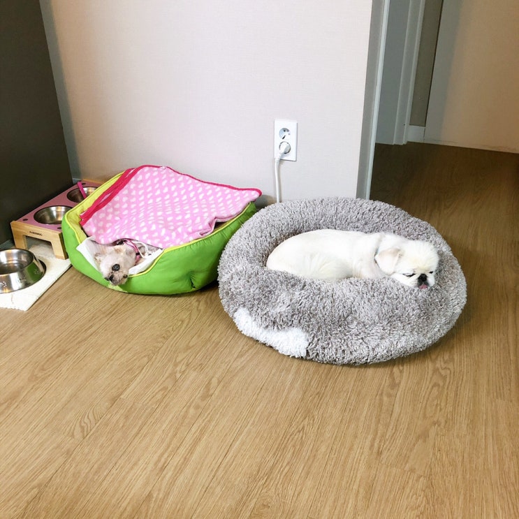  190928-191001 단기알바의 늪