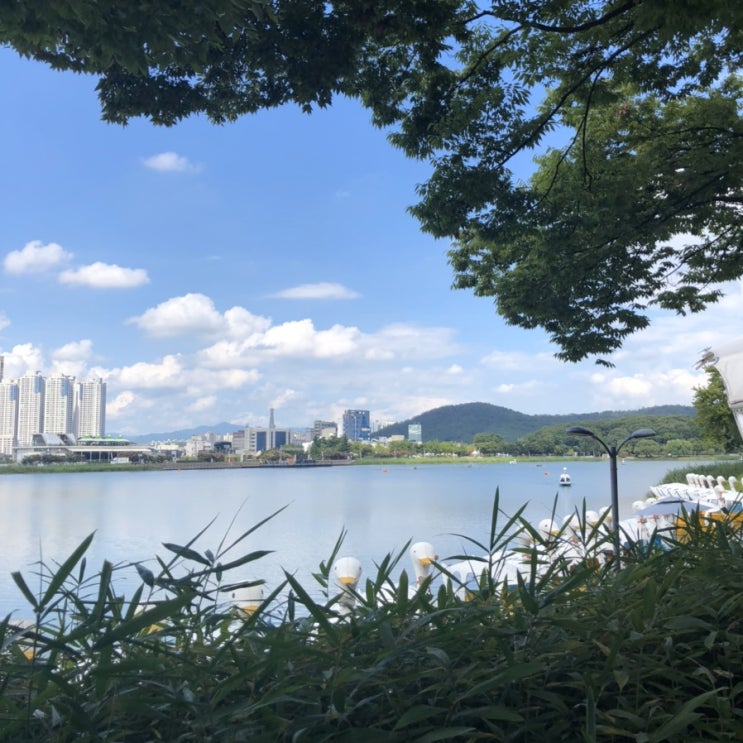  8월 마무리