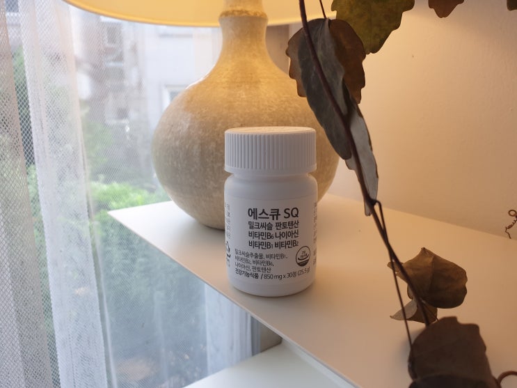  밀크씨슬부작용 없는 필수템 후기!!