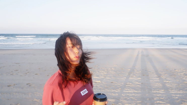  D+237 선샤인 코스트 Sunshine Coast Beach.