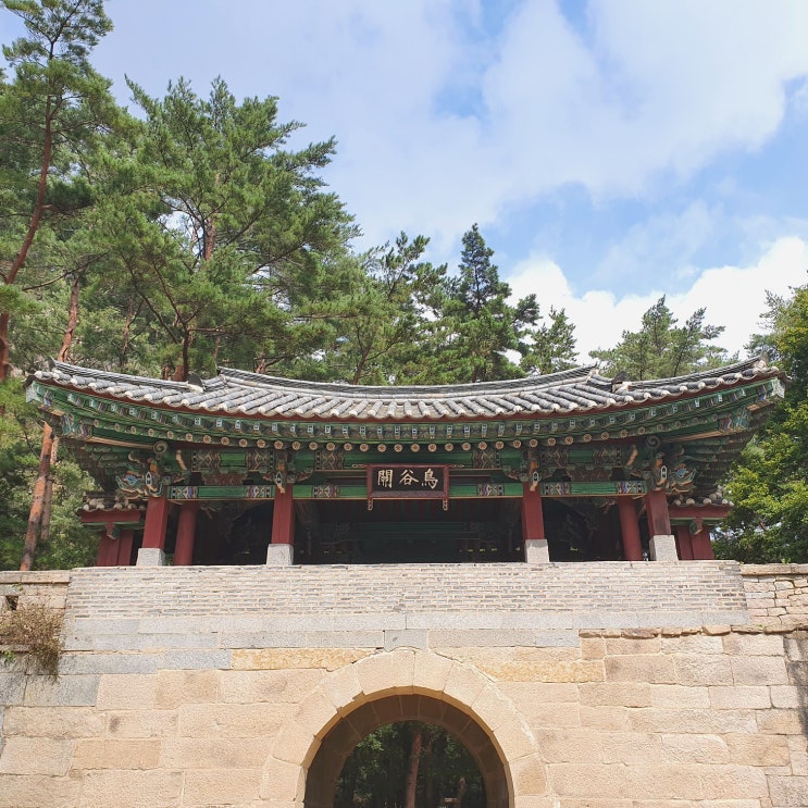  경북 문경 여행 : 운동 일기 : 문경새재 트레킹 / 문경새재도립공원_ 가을 단풍 나들이하세요 :)