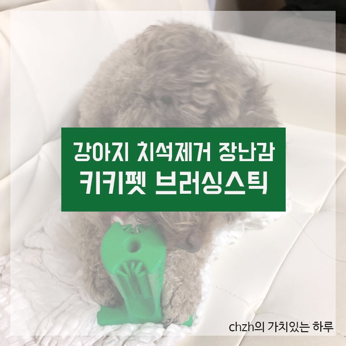 [반려용품] 키키펫 강아지 치석제거 칫솔 추천