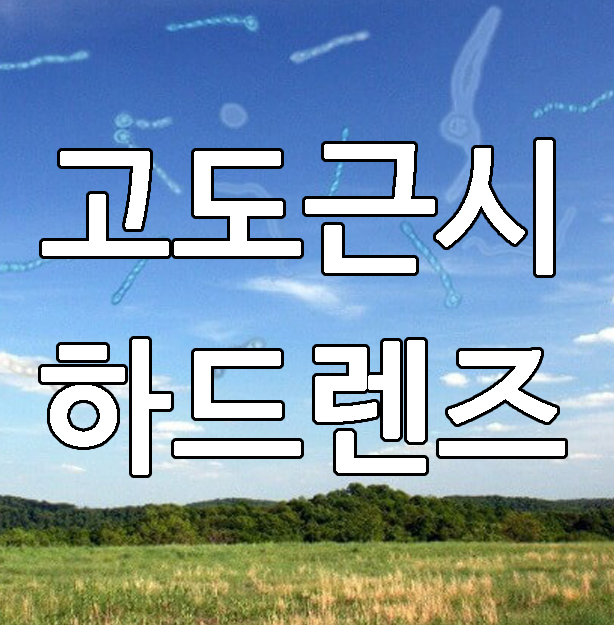  망막 천공(열공) 고도근시 하드렌즈 교정 후기