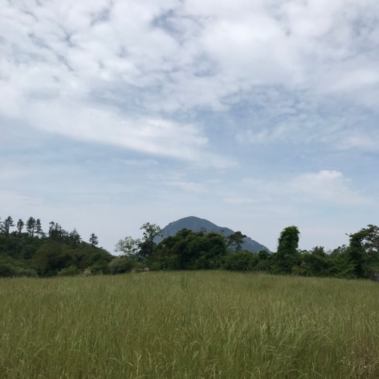  제주 올레길 9코스 (대평포구, 박수기정, 월라봉, 화순금모래해수욕장)