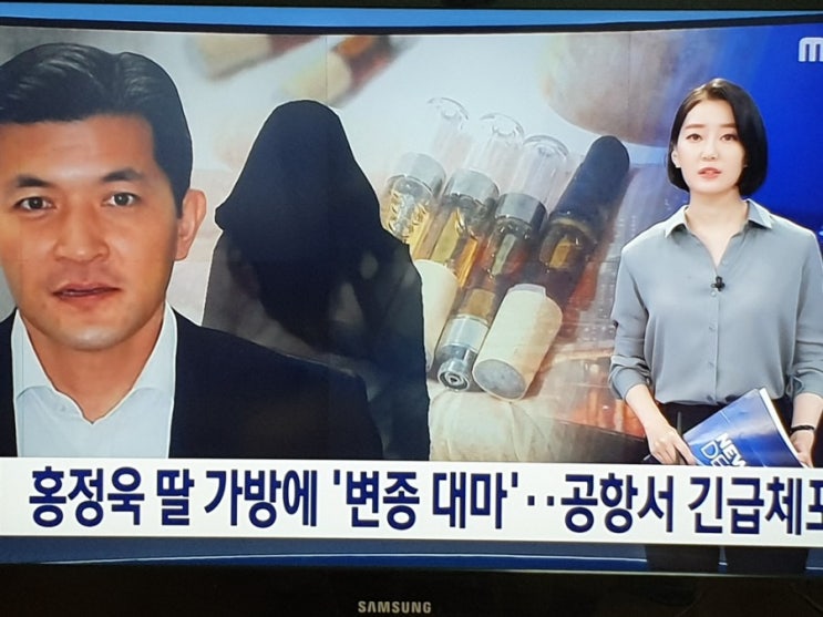 홍정욱 딸 가방에 '변종 대마'…공항서 긴급체포