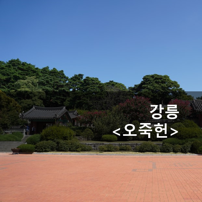  강릉여행코스 - 신사임당 율곡이이의 오죽헌
