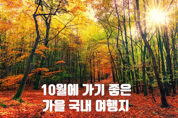  단풍 개화시기와 10월에 가기 좋은 가을 국내 여행지