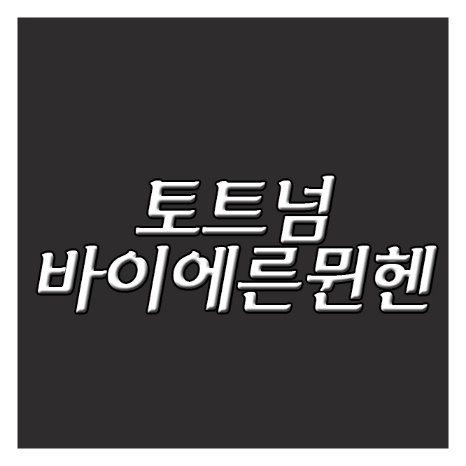  토트넘 바이에른뮌헨 2일 챔피언스리그 오늘만큼은 양팀모두 베스트11가동완료.