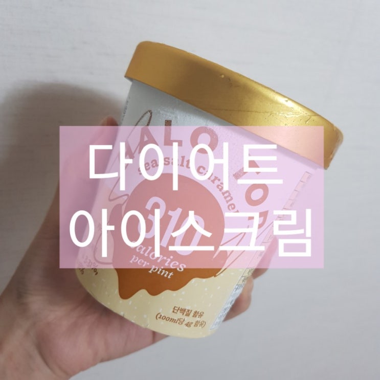  다이어트 아이스크림