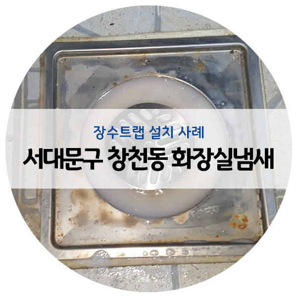  서대문구 창천동 화장실 하수구 냄새 제거 작업 진행했습니다.
