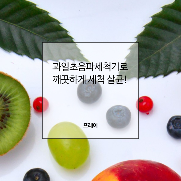 과일초음파세척기 깨끗하게 세척 살균!