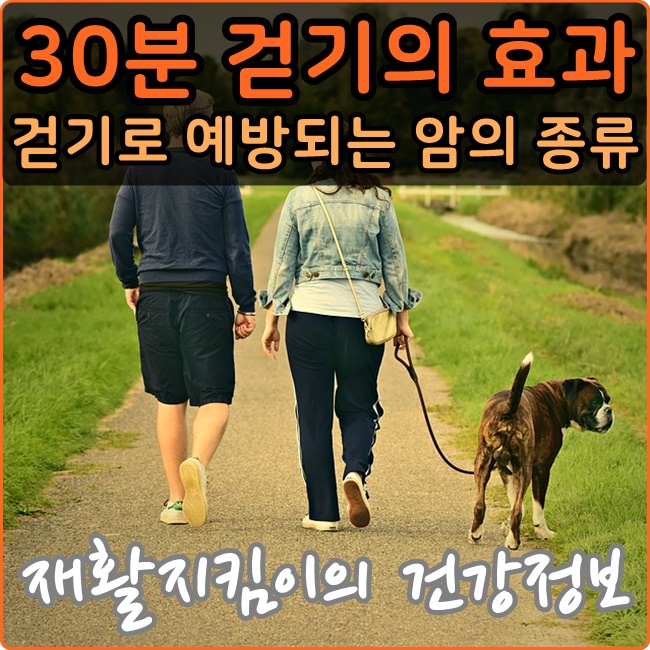  하루 30분 걷기운동의 효과와 예방되는 암의 종류