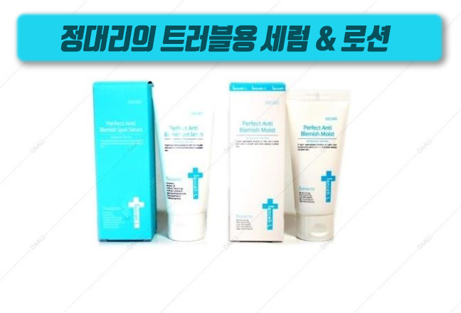  [정대리의 이안셀]퍼펙트 안티 블래미쉬 세럼 & 모이스트