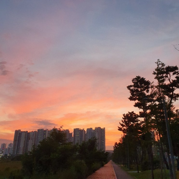  여름날의 일상.