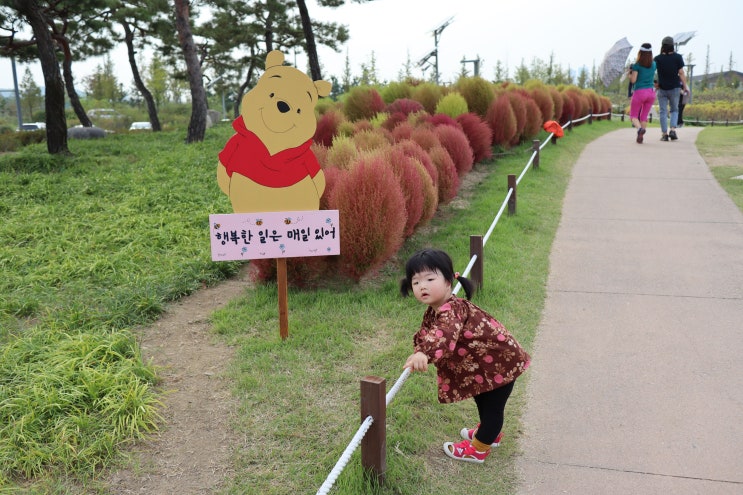 20개월아기 아기랑가볼만한곳 시흥갯골생태공원 가을나들이