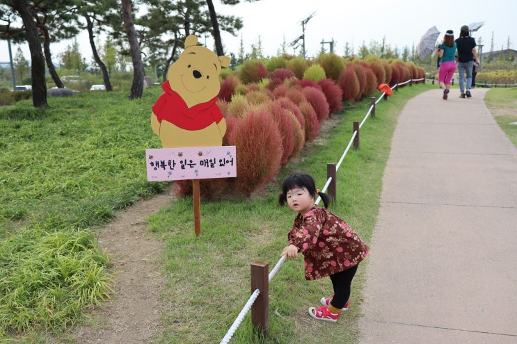  20개월아기 아기랑가볼만한곳 시흥갯골생태공원 가을나들이