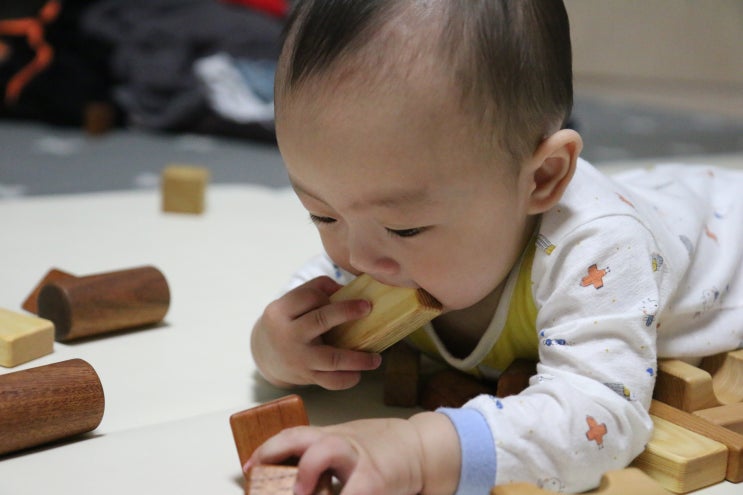 천연소재로 만들어진 안전한 숲소리 원목블록