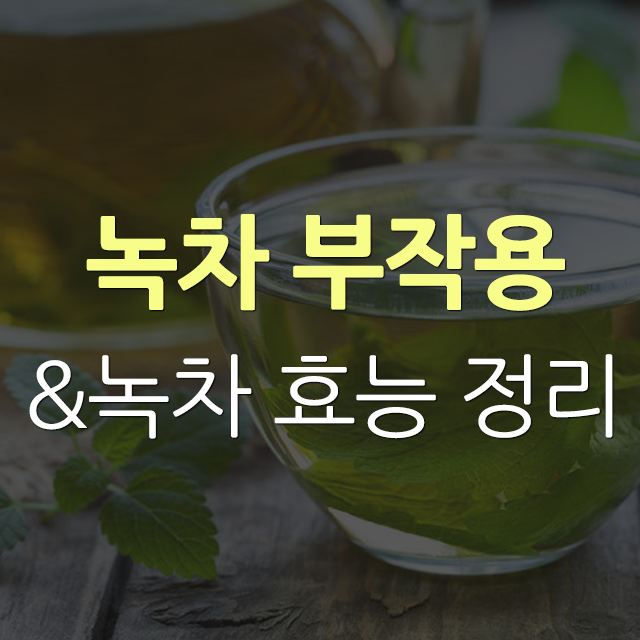  녹차 부작용과 녹차 효능 정리