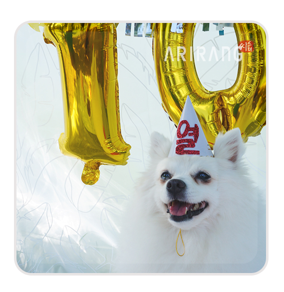  [스피츠 아리/10번째 생일] 야외에서 한 강아지 생일파티 