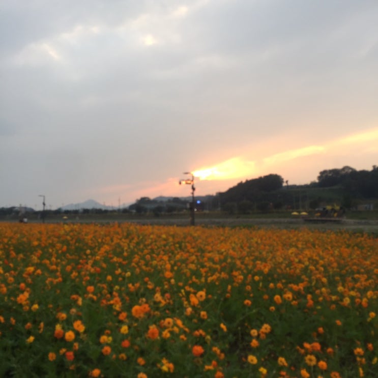 9.23-30 일상