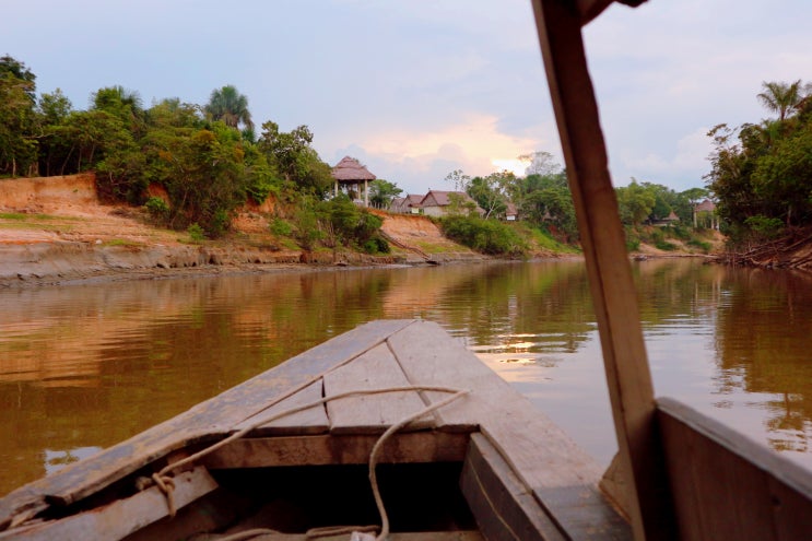  [페루 여행] 페루 이키토스 숙소 - 아마존 롯지 추천 (Iquitos, Irapay Amazon Lodge)